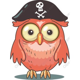 Pirate Owl