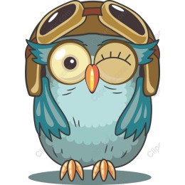 Aviator Owl