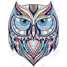 Vibrant Owl