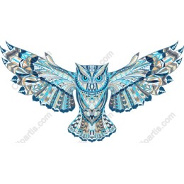 Magic Owl
