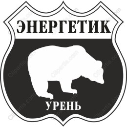 Bear Energy Shield