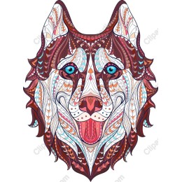 Vibrant Husky