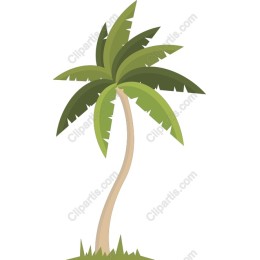 Tropical Palm Tree