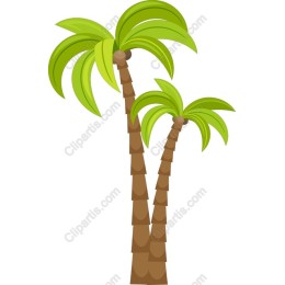 Tropical Palm Trees