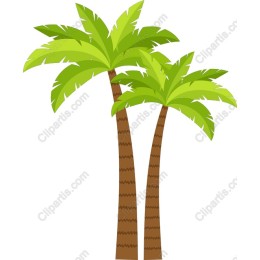 Tropical Palm Trees