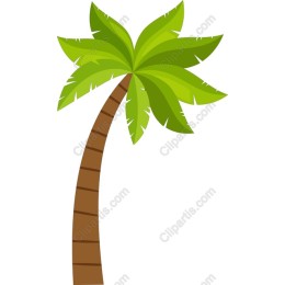 Tropical Palm Tree