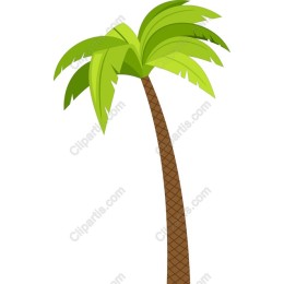 Tropical Palm Tree