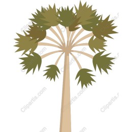 Stylized Palm Tree