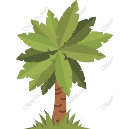 Tropical Palm Tree
