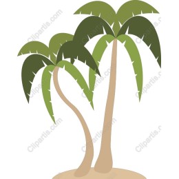 Tropical Palm Trees