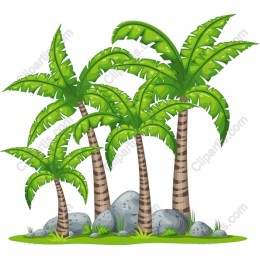 Tropical Palm Trees