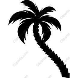 Tropical Palm Tree