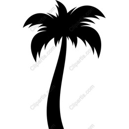 Black Palm Tree