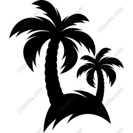 Tropical Palm Trees