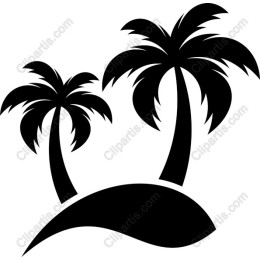 Tropical Palm Trees