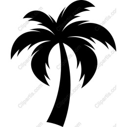 Elegant Palm Tree