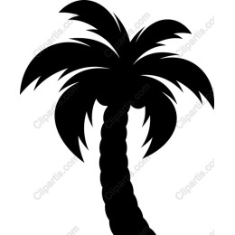 Tropical Elegance: Palm Tree
