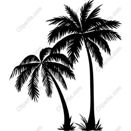 Tropical Palm Trees