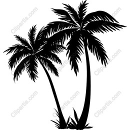 Tropical Palm Trees