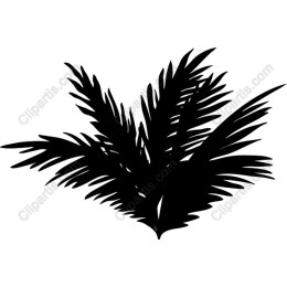 Tropical Palm Leaf