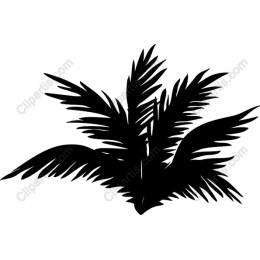Lush Palm Plant