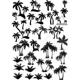 Palm Tree Bundle - High-Quality Files
