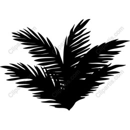 Tropical Palm Leaf