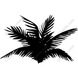 Tropical Palm Leaf