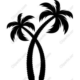 Entwined Palm Trees