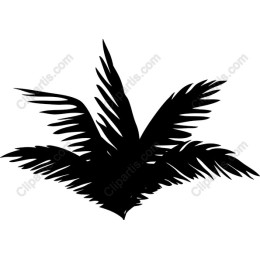 Tropical Palm Leaf