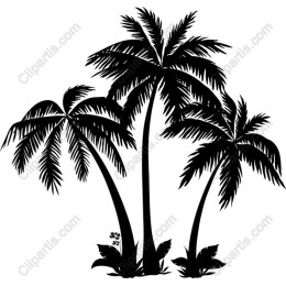 Tropical Palm Trees