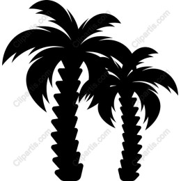 Palm Tree