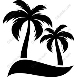 Tropical Palm Tree