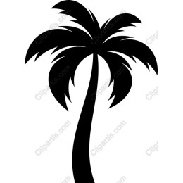 Tropical Palm Tree