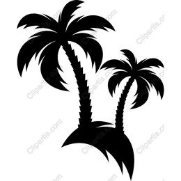 Tropical Palm Trees