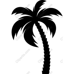 Black Palm Tree