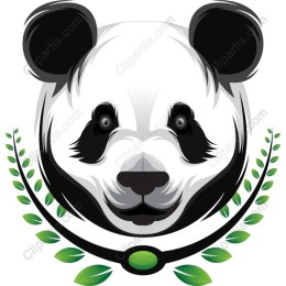 Panda Perfection