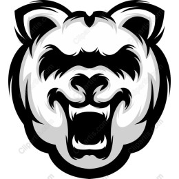 Angry Bear
