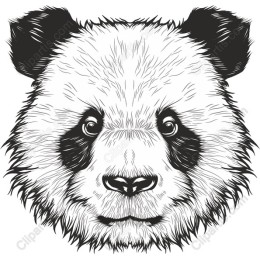 Elegant Panda Face