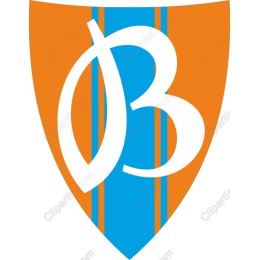 Vibrant Shield in Orange and Blue