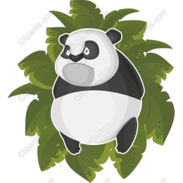 Playful Panda