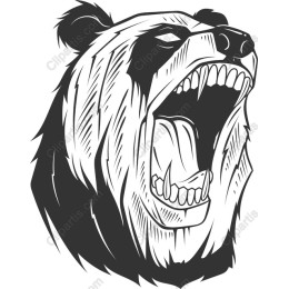 Roaring Bear