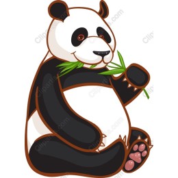 Adorable Panda