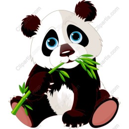 Adorable Panda Eating Bamboo