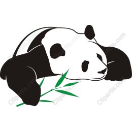 Charming Panda