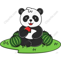 Playful Panda Watermelon