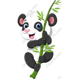 Cheerful Panda