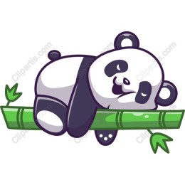 Charming Panda on Bamboo