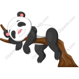 Adorable Sleeping Panda