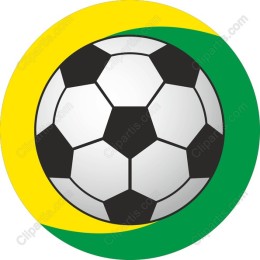 Brazilian Soccer Ball